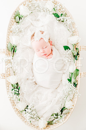 KKP_4431-Edit