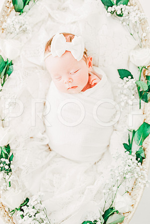 3033644-R1-017-7-Edit