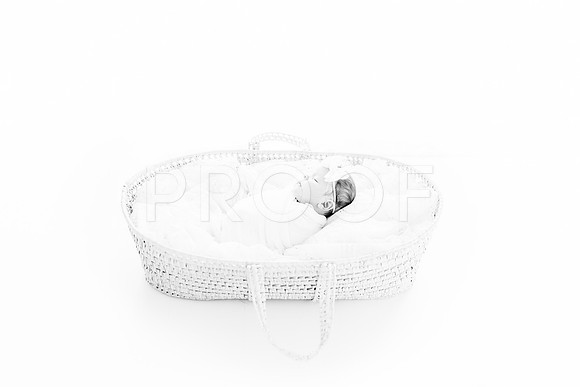 KKP_4388-Edit-2