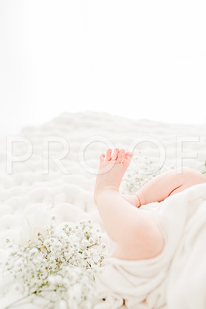KKP_4788-Edit