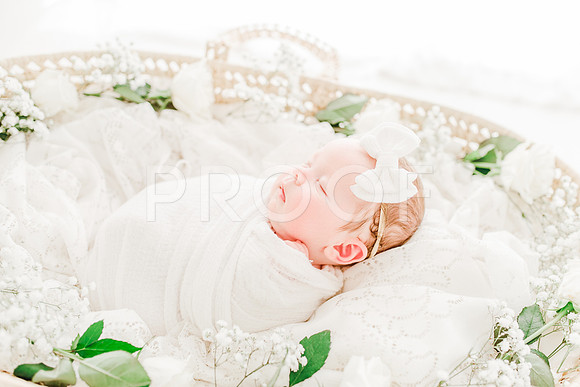 KKP_4443-Edit