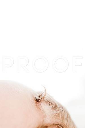 KKP_4656-Edit