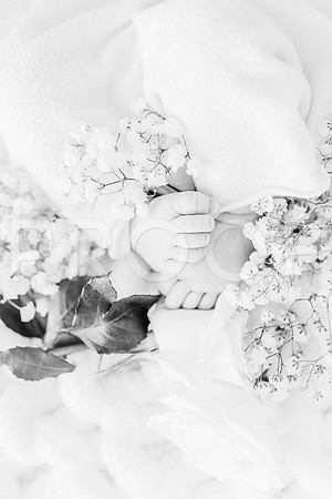 KKP_4775-Edit