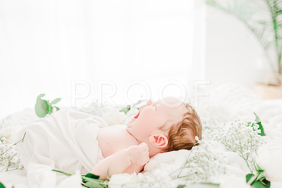 KKP_4758-Edit