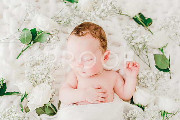 KKP_4677-Edit
