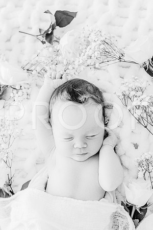 KKP_4702-Edit