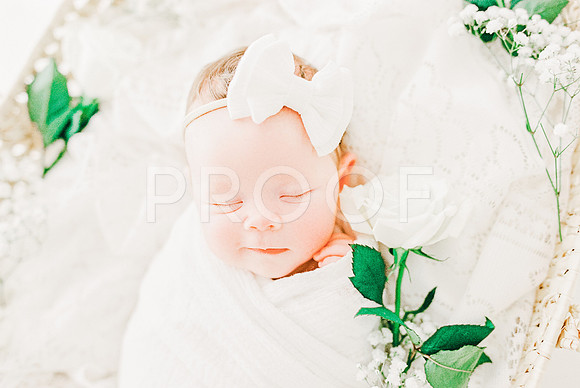 3033644-R1-025-11-Edit