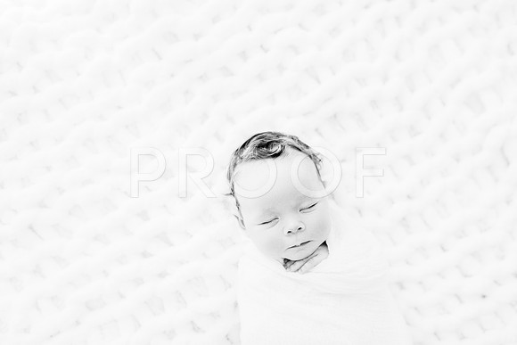 KKP_4562-Edit-2