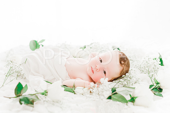 KKP_4763-Edit-Edit